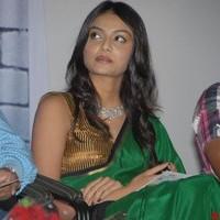 Nikitha Narayana In Its My Love Story Audio Launch - Stills | Picture 90719